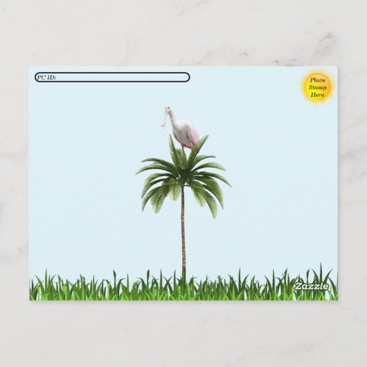 Postcrossing -Roseate Spoonbill - Briefkaart Flori (Achterkant)