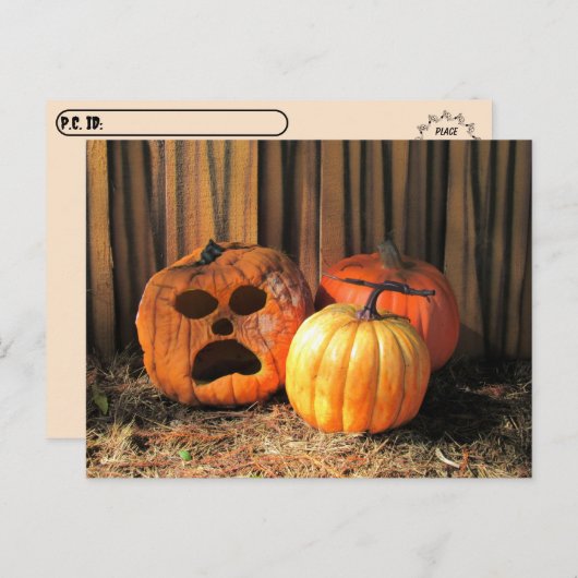 Postcrossing - Rotten Pumpkins Halloween Briefkaar Briefkaart (Voorkant / Achterkant)