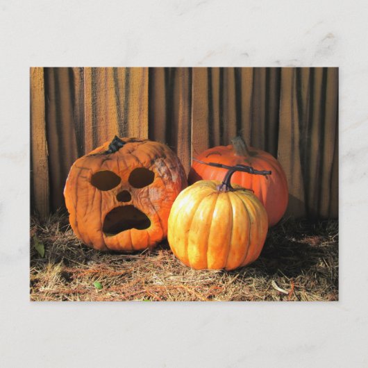 Postcrossing - Rotten Pumpkins Halloween Briefkaar Briefkaart (Voorkant)