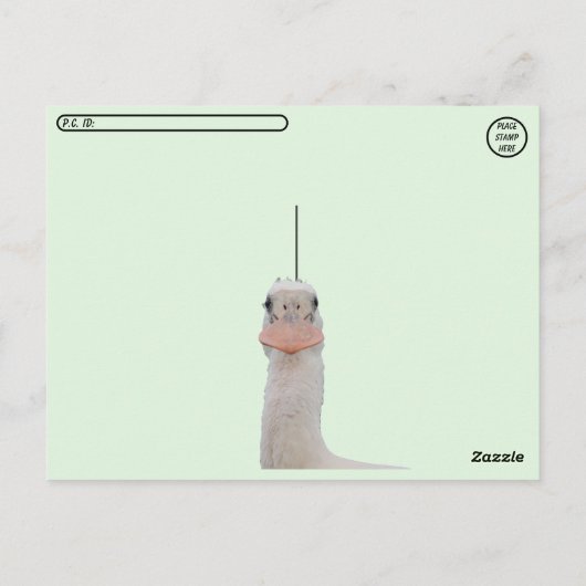 Postcrossing - Rozeate Spoonbill Chicks Briefkaart (Achterkant)