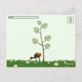 Postcrossing - Sandhill Crane en 2 Colts (kuiken) Briefkaart (Achterkant)
