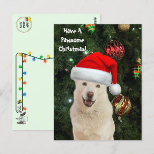 Postcrossing Santa Paws - De gelukkige Husky Kerst Briefkaart