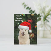 Postcrossing Santa Paws - De gelukkige Husky Kerst Briefkaart (Staand voorkant)