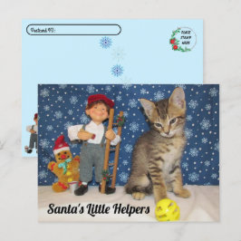 Postcrossing - Santa's Little Helpers - Cat & Elf Briefkaart