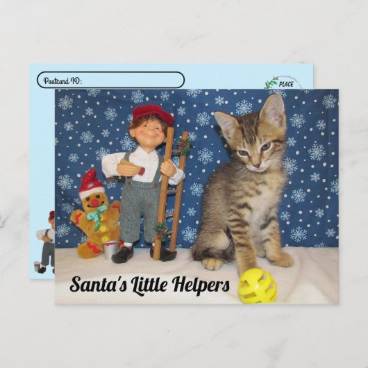 Postcrossing - Santa's Little Helpers - Cat & Elf Briefkaart (Voorkant / Achterkant)