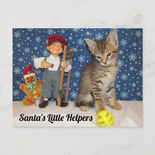 Postcrossing - Santa's Little Helpers - Cat & Elf Briefkaart (Voorkant)