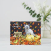 Postcrossing - Savannah Siamese Cat's Thanksgiving Briefkaart (Staand voorkant)