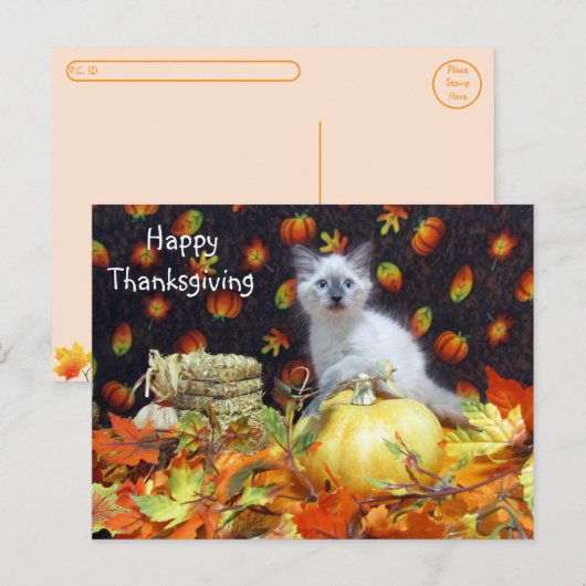 Postcrossing - Savannah Siamese Cat's Thanksgiving Briefkaart (Voorkant / Achterkant)