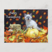 Postcrossing - Savannah Siamese Cat's Thanksgiving Briefkaart (Voorkant)