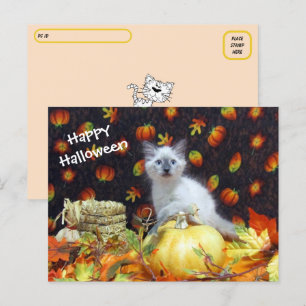 Postcrossing - Savannah's Halloween Briefkaart - C