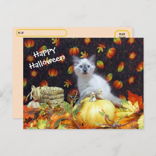 Postcrossing - Savannah's Halloween Briefkaart - C (Voorkant / Achterkant)