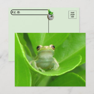 Postcrossing = Schattige Briefkaart van de boomkik