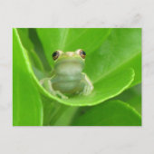 Postcrossing = Schattige Briefkaart van de boomkik (Voorkant)