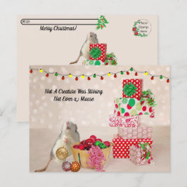 Postcrossing - Schattigee rat versieren voor kerst Briefkaart