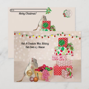 Postcrossing - Schattigee rat versieren voor kerst Briefkaart