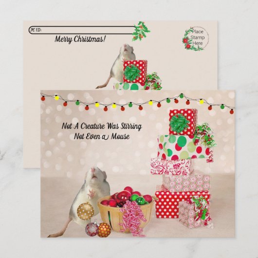 Postcrossing - Schattigee rat versieren voor kerst Briefkaart (Voorkant / Achterkant)