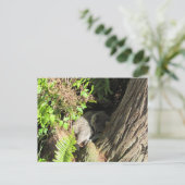 Postcrossing Slaapwasbeer Briefkaart (Staand voorkant)