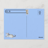 Postcrossing Slapen Siamese Kitten - Miss Winter Briefkaart (Achterkant)