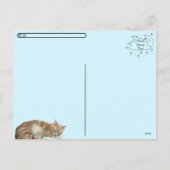 Postcrossing - Sleepy Kat Taz - Kat Briefkaart (Achterkant)