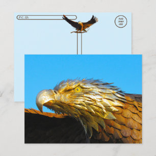 Postcrossing - standbeeld van de zeearend briefkaart