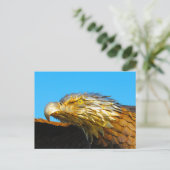 Postcrossing - standbeeld van de zeearend briefkaart (Staand voorkant)