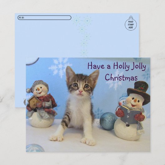 Postcrossing Taromina Cat - Holly Jolly Christmas Briefkaart (Voorkant / Achterkant)