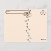 Postcrossing - Taz De Schattige Ginger Tabby - Cat Briefkaart (Achterkant)