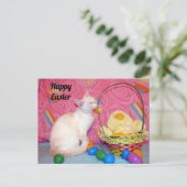 Postcrossing - Tiffany's Paasmand = Kat Briefkaart (Staand voorkant)