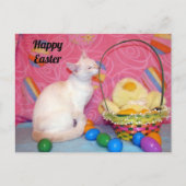 Postcrossing - Tiffany's Paasmand = Kat Briefkaart (Voorkant)