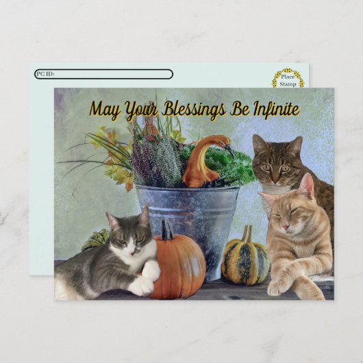 Postcrossing Tito Taz & Annie's 2025 Thanksgiving  Feestdagenkaart (Voorkant / Achterkant)