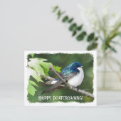 Postcrossing Tree Swallow - Briefkaart (Staand voorkant)