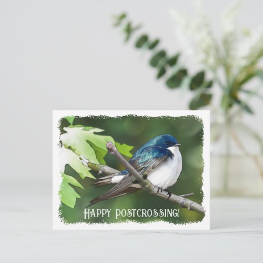 Postcrossing Tree Swallow - Briefkaart (Staand voorkant)