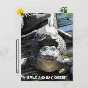 Postcrossing - Ultimate Florida Tourist Briefkaart