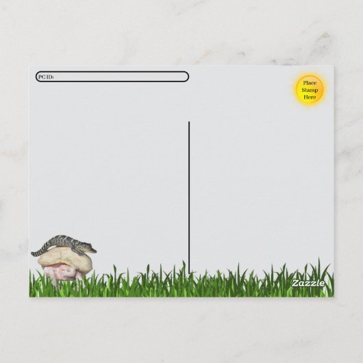 Postcrossing - Ultimate Florida Tourist Briefkaart (Achterkant)