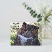 Postcrossing Verjaardag Grote Gehoornde Uil Postka Briefkaart (Staand voorkant)