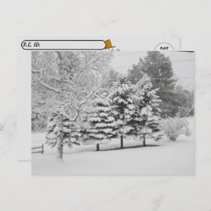Postcrossing - Vermont's Sneeuwrijke Winter in B&W Briefkaart