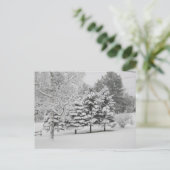 Postcrossing - Vermont's Sneeuwrijke Winter in B&W Briefkaart (Staand voorkant)