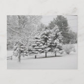 Postcrossing - Vermont's Sneeuwrijke Winter in B&W Briefkaart (Voorkant)