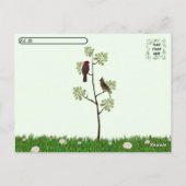 Postcrossing - Vrouw Kardinaal Achtertuin Vogel Briefkaart (Achterkant)