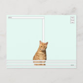 Postcrossing - Where's Mom Cat Postcard Feestdagenkaart (Achterkant)