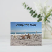 Postcrossing - Zeeschelpen op het strand Briefkaart (Staand voorkant)