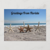 Postcrossing - Zeeschelpen op het strand Briefkaart (Voorkant)