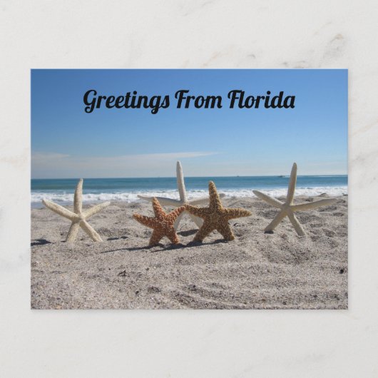 Postcrossing - Zeeschelpen op het strand Briefkaart (Voorkant)