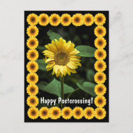 Postcrossing Zonnebloem - Briefkaart