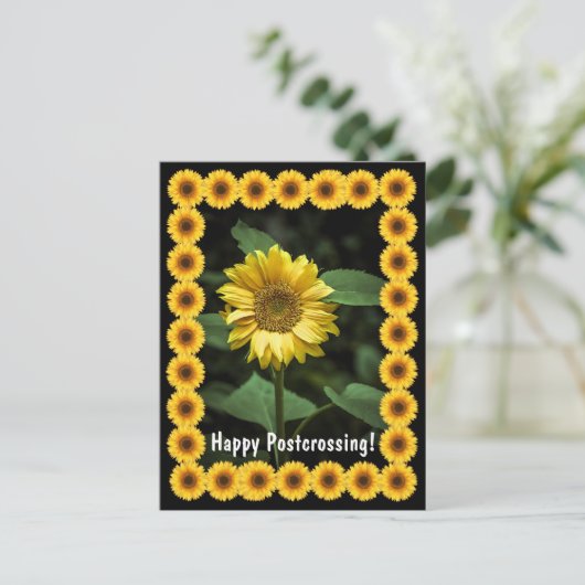 Postcrossing Zonnebloem - Briefkaart (Staand voorkant)