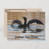 Postcrossover Double Crested Cormorant Swimming Briefkaart (Voorkant / Achterkant)