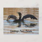 Postcrossover Double Crested Cormorant Swimming Briefkaart (Voorkant)