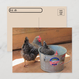 Postcrossover Two Darn Cute Chickens Briefkaart