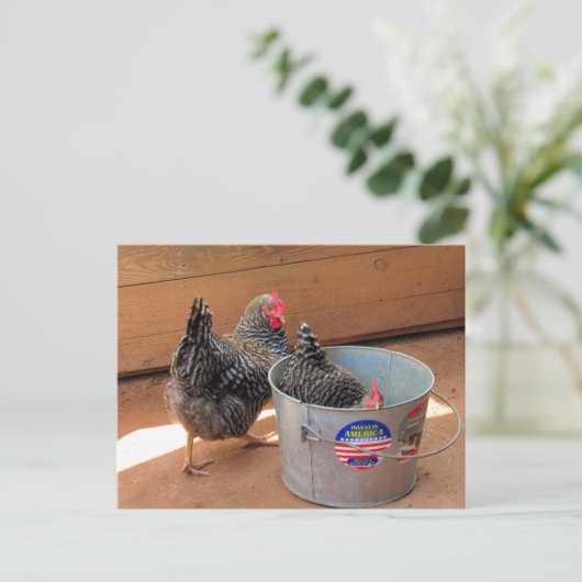 Postcrossover Two Darn Cute Chickens Briefkaart (Staand voorkant)