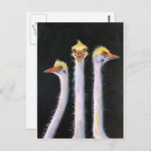 Postellen Briefkaart (Voorkant / Achterkant)